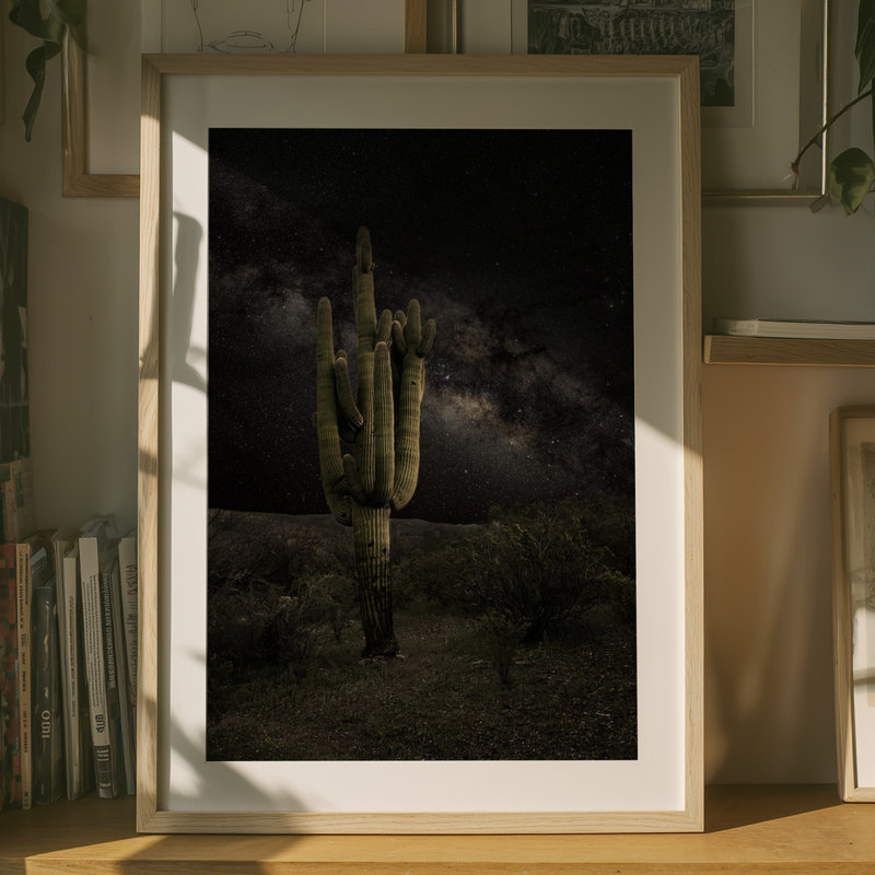 Wrapped Canvas Print, 76.2 cm H x 50.8 cm W