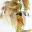 30cm Faux Plant in Planter-124076189