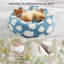 Lit pour chien Lesure Donut-442354693-466789894