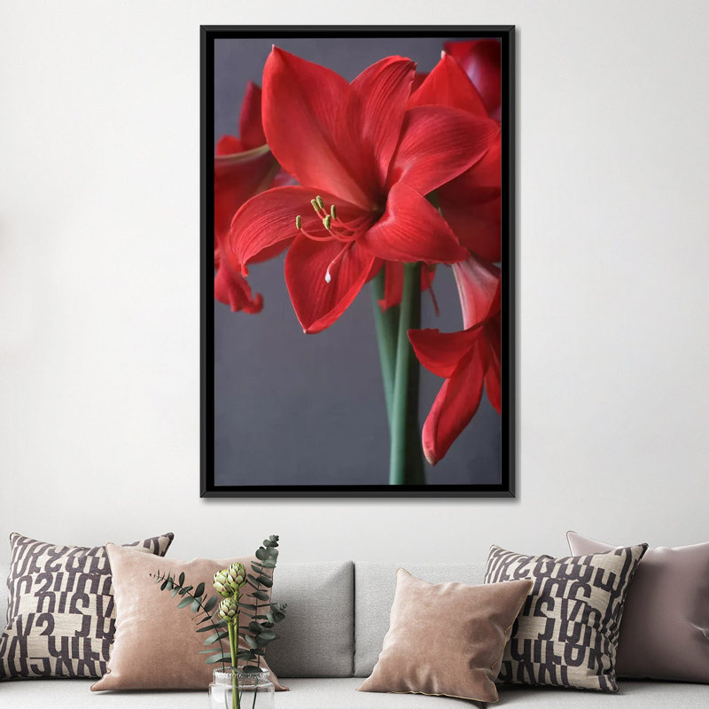 Amaryllis rouge, impression sur toile, H 26 po x l 18 po x P 1,5 po, Toile avec cadre noir, Pas de tapis
