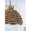Lustre S / 2