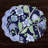 Vida Blooms & Branches Reversible Round Placemats
