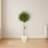 Olive Topiary Artificial Tree in White Planter