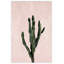 Pink Cacti 2 Print by Nathan Turner