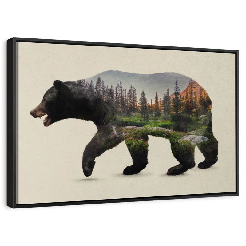 L'ours noir nord-américain, Cadre flottant noir, 40 po x 27 po
