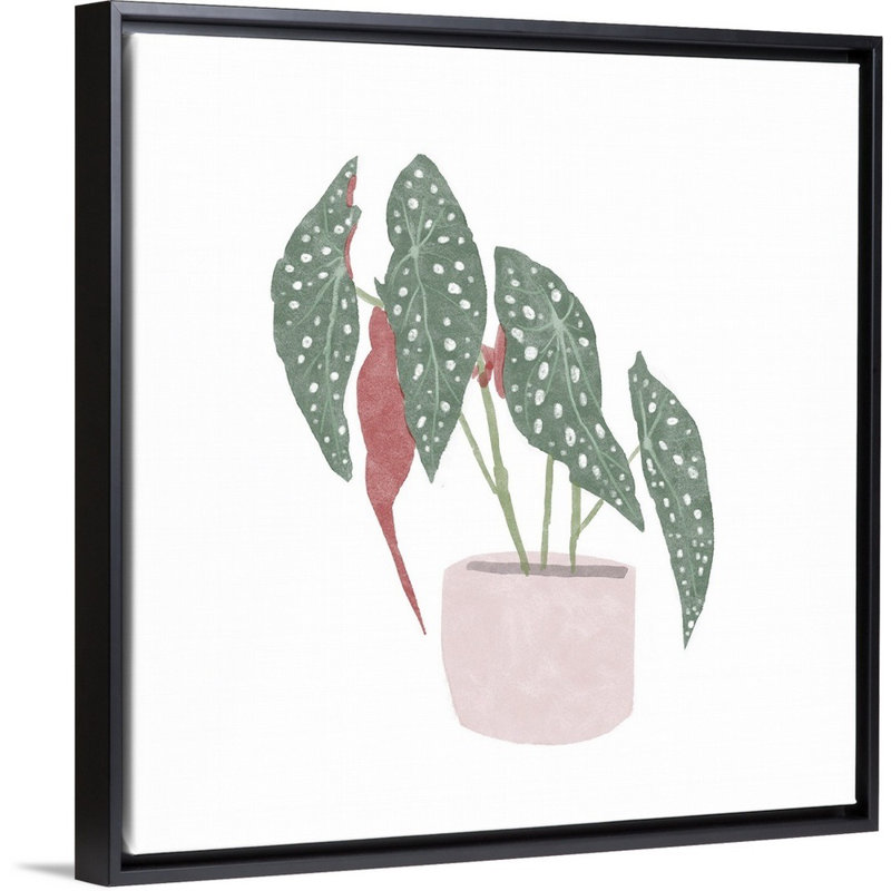 Toile à pois Begonia IV, art mural, Toile avec cadre noir, H 38 po x l 38 po