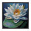 Cadre flottant Peaceful Lotus Flower, design par Violeta Vollmer-394869235-394869236