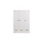 Cedric 3 Door Wood Wardrobe-16445325