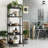 CAPHAUS  Ladder Bookshelf, Bookcase Shelf Storage Rack Organizer-43747383