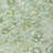 Machine Washable Indoor/Outdoor Xhevrie Aloe Rug-785480366