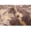 Tapis gris Royal Oushak 9 pi 11 po x 13 pi 11 po