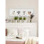 Feathers And Jars - Single Picture Frame Panoramic Painting-1898274070