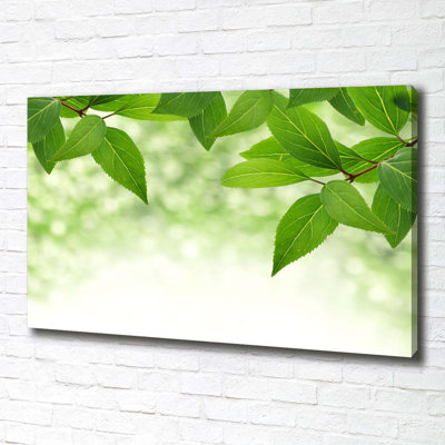 Green Leaves - Wrapped Canvas Print