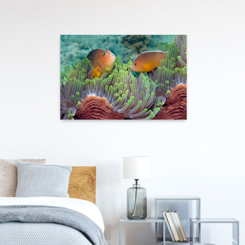 Deux poissons anémone mouffette et anémone de poisson indien, art tropical, H 24 po x l 36 po