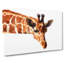 Geometric Giraffe in Abstract - Wrapped Canvas-55314134