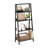 Casiana Ladder Bookcase-95356666-95356670