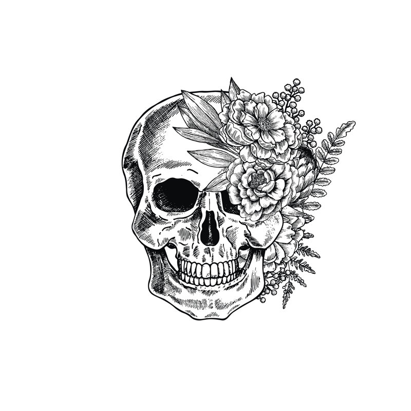 Botanical Skull Illustration by Adehoidar - Wrapped Canvas Print, 30cm H x 30cm W x 3.8cm D