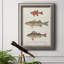 " Species Of Antique Fish II "-834072929