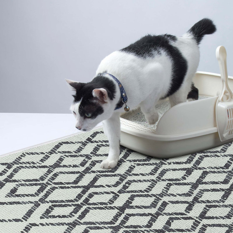 Tapis de litière, H 0,25 po x l 44 po x P 24 po