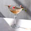 220ml Martini Glass Set