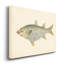 Reproduction d’art sur toile « Donovan antique Fish IV »-1458426189