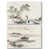 Toile tendue