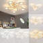 Five-star 3-head light ceiling lamp