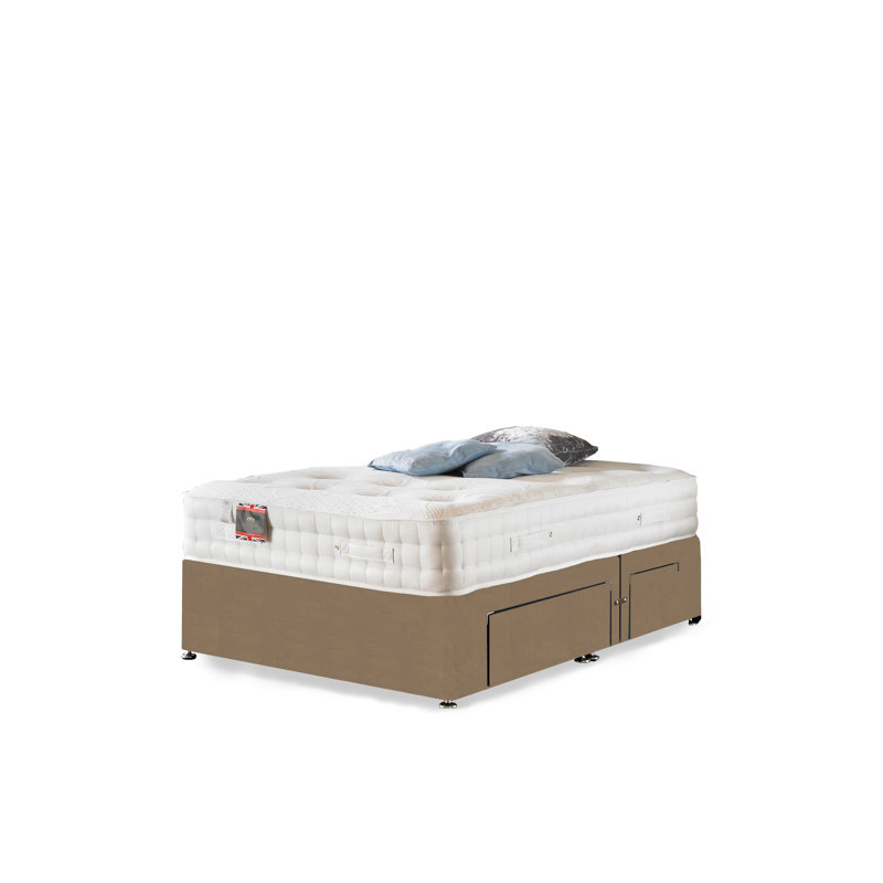 Arville Pocketsprung Divan Bed Set, 2 Drawers, Mink Plush Velvet, Double (4'6)