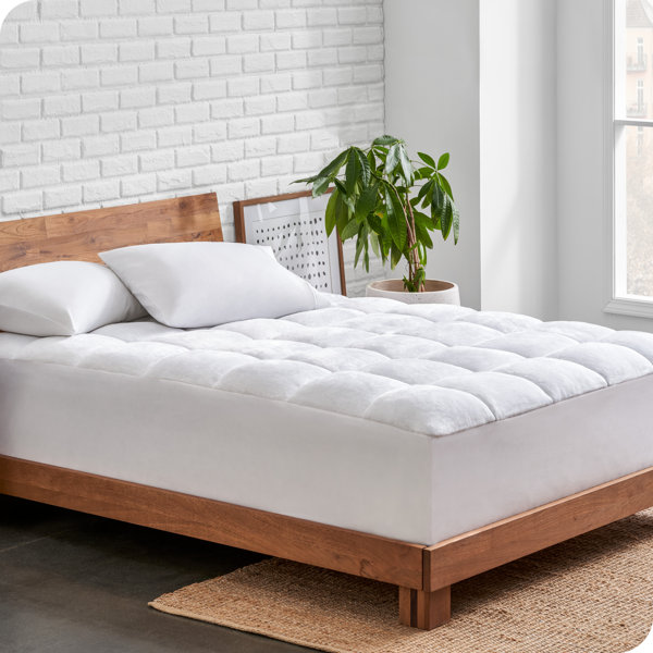 Bare Home Premium 1.5'' Down Alternative Mattress Pad & Reviews | Wayfair