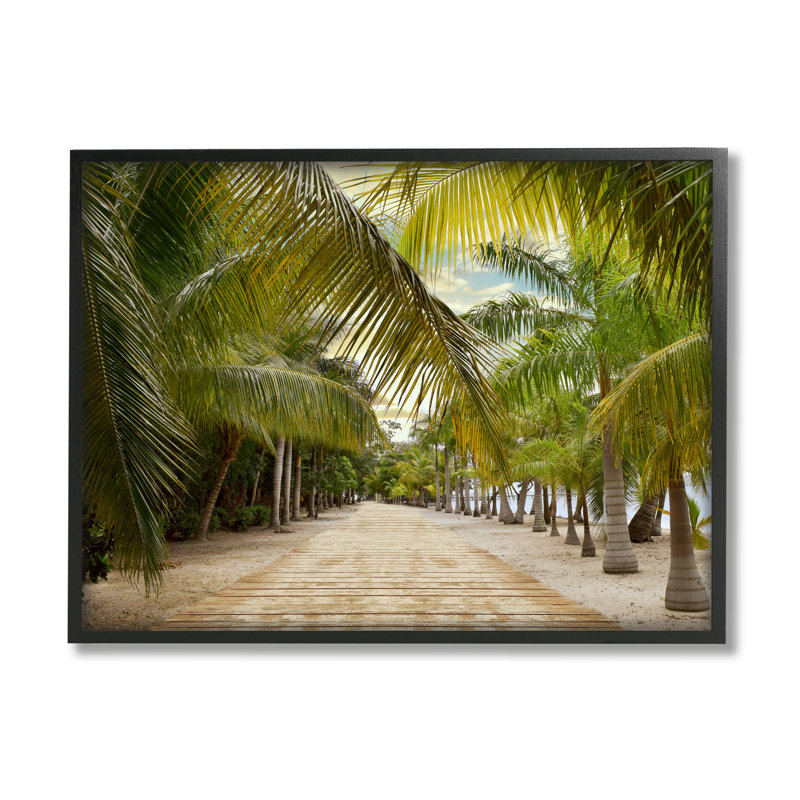 «Tropical Boardwalk Path», impression encadrée sur bois par Natalie Carpentieri, H 16 po x l 20 po x P 1,5 po