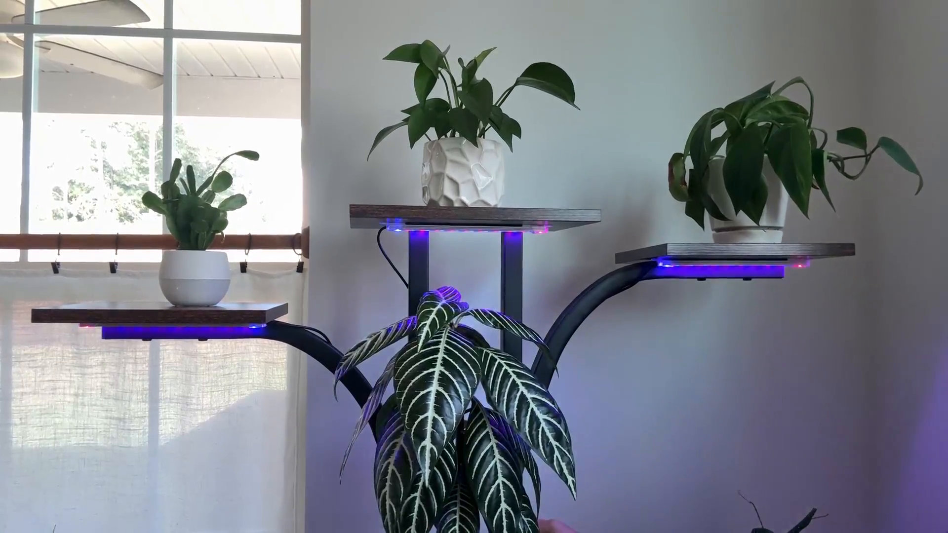 plant pot wide Tulip Planter | Handmade Terra Cotta