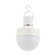 Rechargeable RGB Light Bulb With Remote