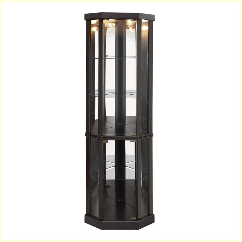 Vitrine de coin moderne pour le salon, Noir