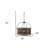 Black Caged Three Light Metal Dimmable Chandelier