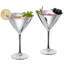 4 Piece Martini Glass Set