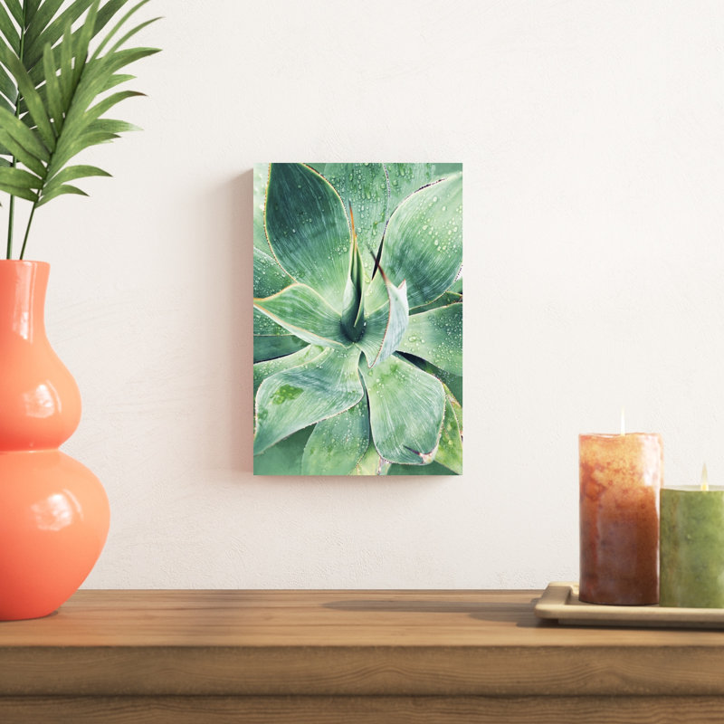 Vert succulent tropical vert I, H 12 po x l 8 po x P 1,25 po