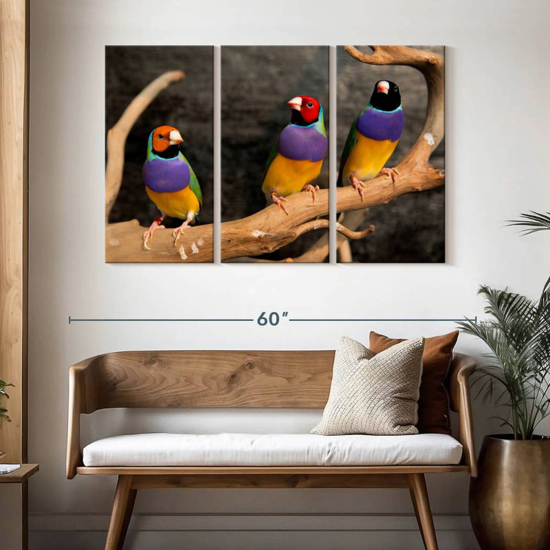 Brampt Rainbow Finches, 32" H x 50" W