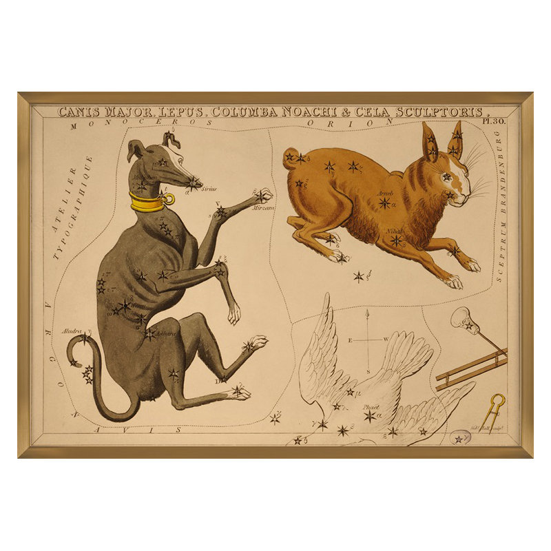 Canis Major Print by Grand Archives