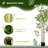 6FT Artificial Bamboo Tree