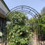 Arche de jardin en métal noir pour plantes grimpantes et roses (l 59 po x H 90,55 po)