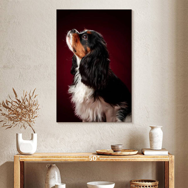 Brampt Begging Spaniel Puppy, 39" H x 26" W