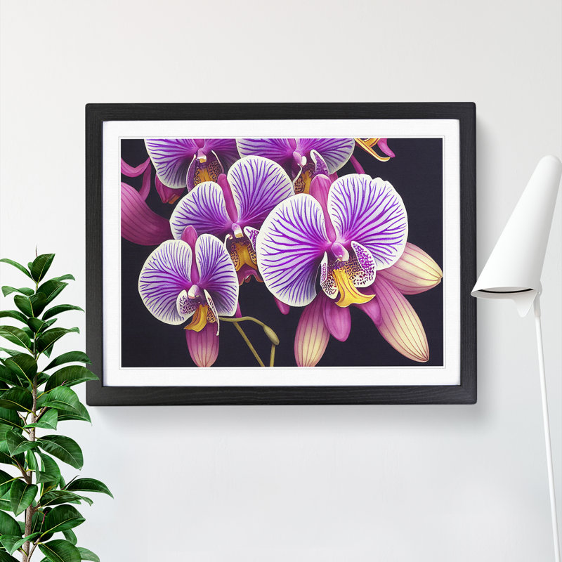 Adventurous Orchid Flowers - Single Picture Frame Print, Black Framed, 46cm H x 64cm W x 2cm D