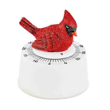 Timer Da Cucina Meccanico Con Calamita 60 Minuti Squirrel dfh