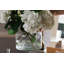 Vase transparent-1890800714