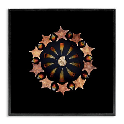 «Nautical Nature Arrangement», estampe numérique, conception de Beth Adoette