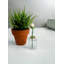 Bouteilles décoratives en verre Aleaha-1622860086