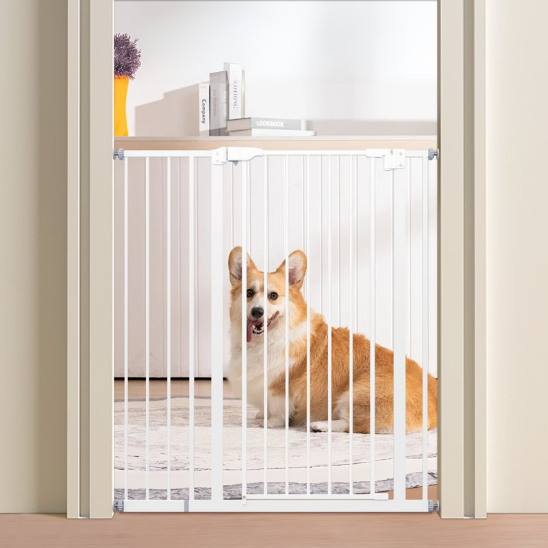 Barrière pour chien, Blanc