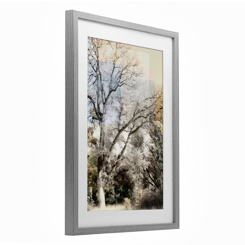 «Tree Collage Layers», reproduction encadrée sous verre, design par Gemma Bardot, Cadre de ferme gris, H 20 po x l 14 po