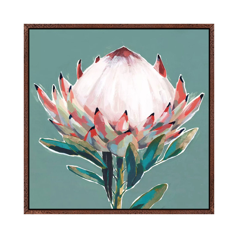 Blooming King Protea by Isabelle Z - Painting on Canvas, Classic Brown Wood Framed, 66.04 cm H x 66.04 cm W