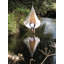Saffo Hanging Chair-1556380530-1556380534